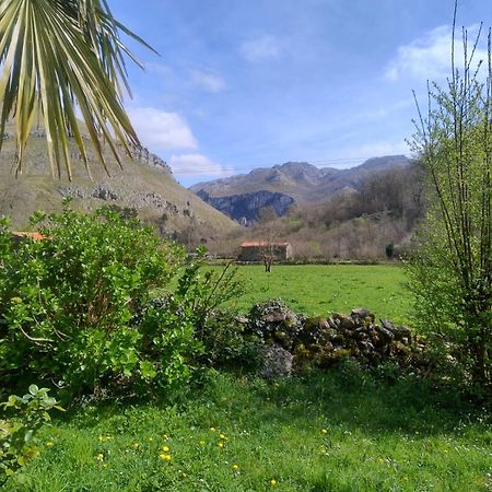 Amplia Y Comoda Casa De Piedra Con Porche Y Jardin San Roque de Ríomiera Eksteriør bilde