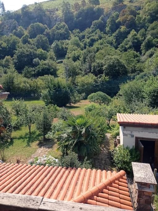 Amplia Y Comoda Casa De Piedra Con Porche Y Jardin San Roque de Ríomiera Eksteriør bilde