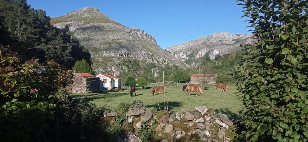 Amplia Y Comoda Casa De Piedra Con Porche Y Jardin San Roque de Ríomiera Eksteriør bilde