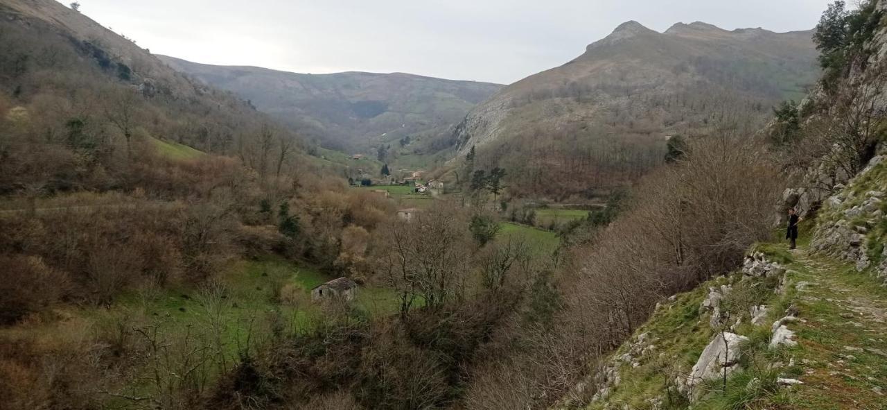 Amplia Y Comoda Casa De Piedra Con Porche Y Jardin San Roque de Ríomiera Eksteriør bilde