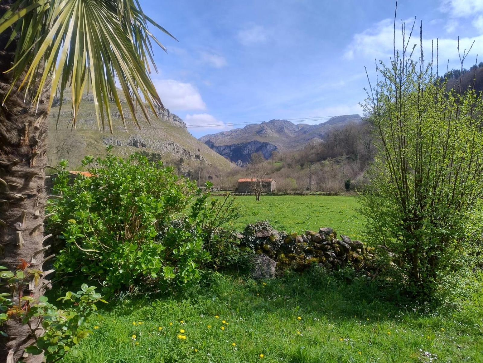 Amplia Y Comoda Casa De Piedra Con Porche Y Jardin San Roque de Ríomiera Eksteriør bilde